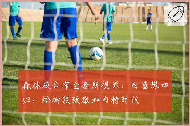森林狼公布全套新视觉，白蓝绿回归，松树黑致敬加内特时代