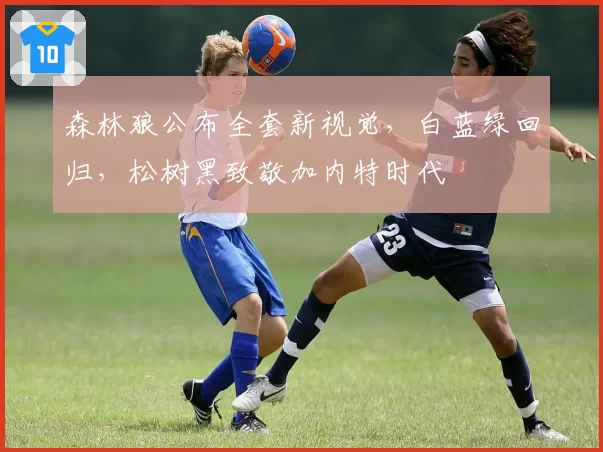 森林狼公布全套新视觉，白蓝绿回归，松树黑致敬加内特时代