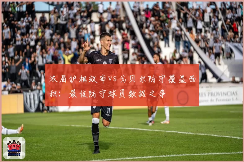 浓眉护框效率vs戈贝尔防守覆盖面积：最佳防守球员数据之争